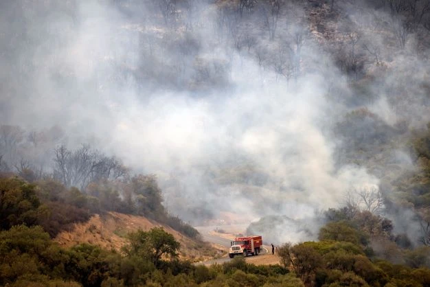 Feux de forêt: deux nouveaux décès dans le nord du Maroc