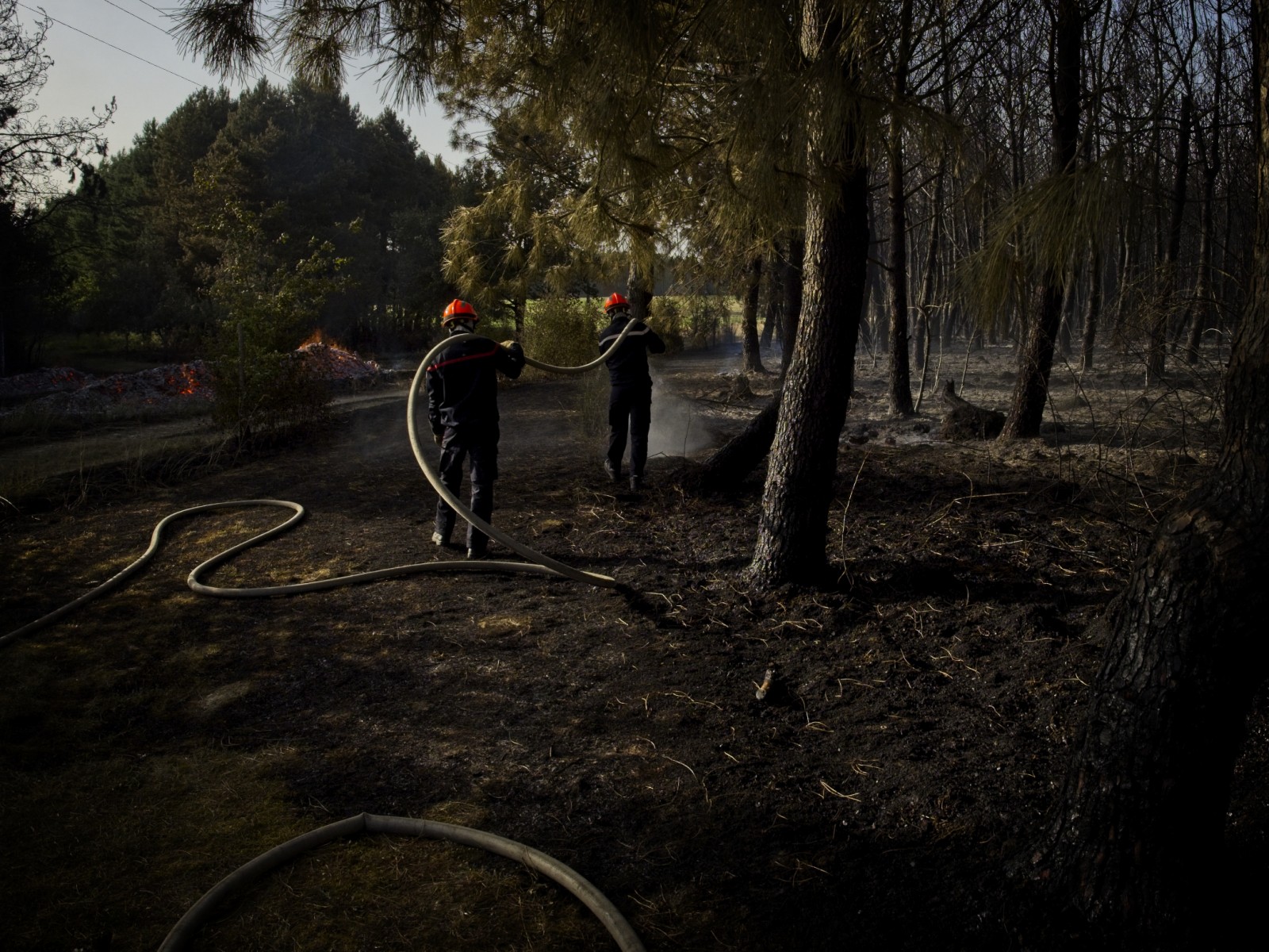 Dans le sud de la France, les pompiers mettent des «yeux» dans les pinèdes face aux incendies