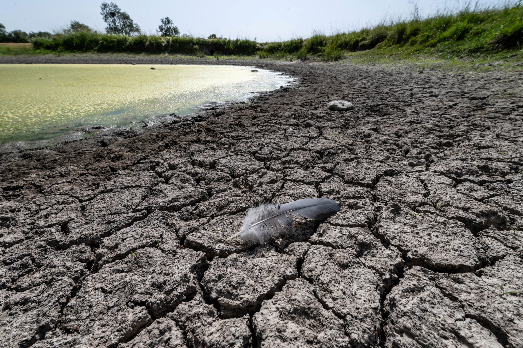 Un nouvel épisode de canicule débute lundi dans le sud de la France