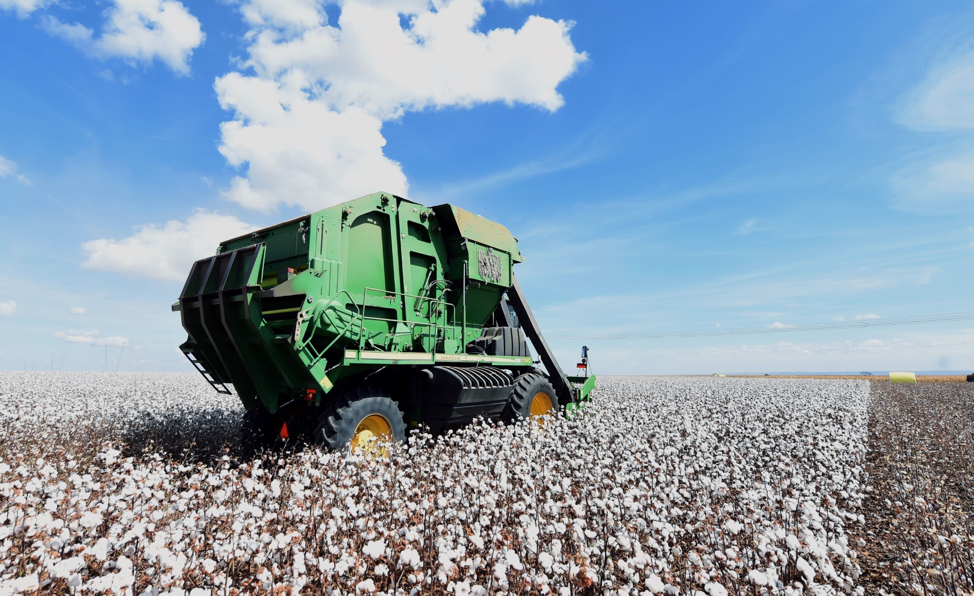 Le coton labellisé « durable » en plein boom au Brésil