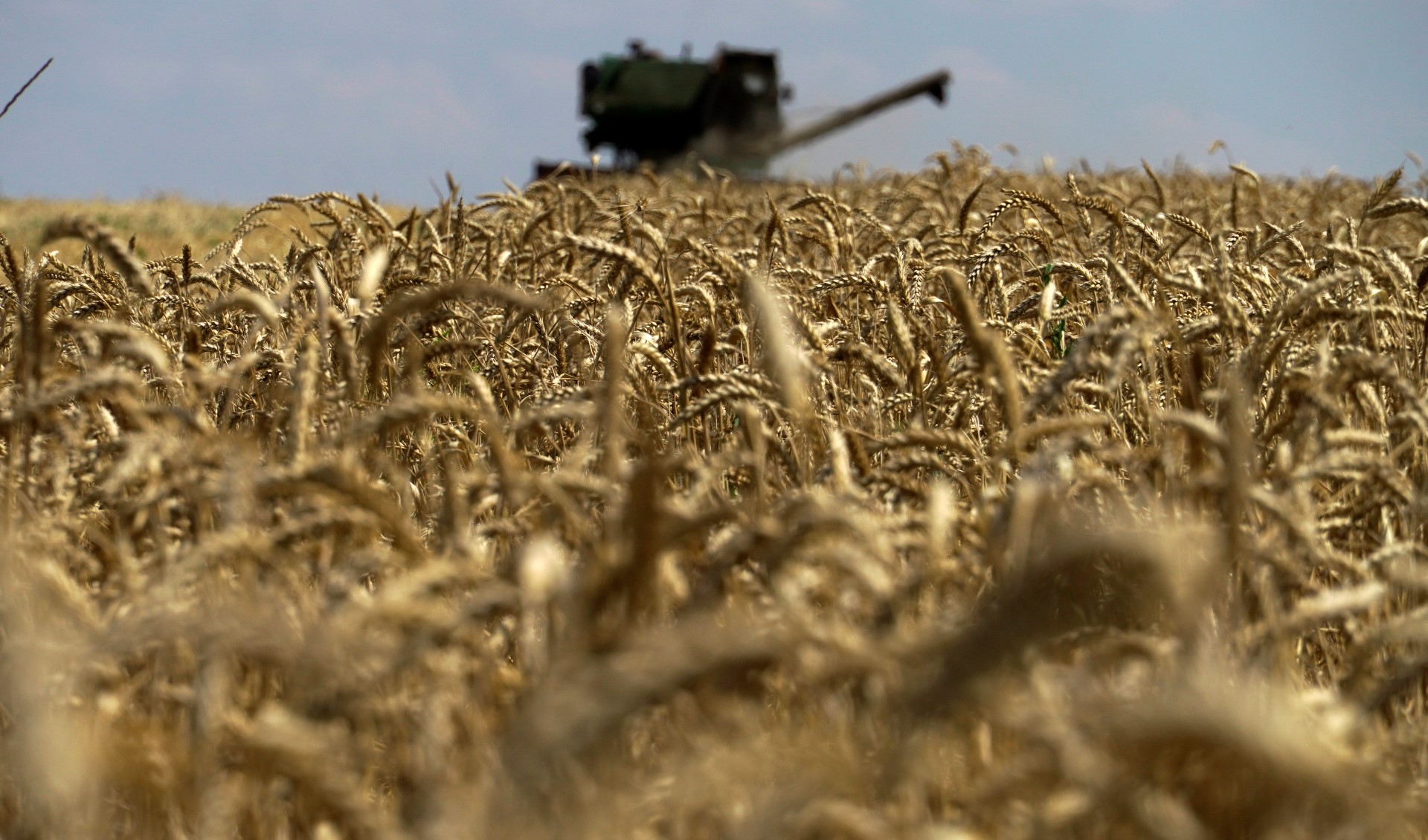 Les exportations de céréales d'Ukraine presque aux niveaux d'avant-guerre, selon Washington