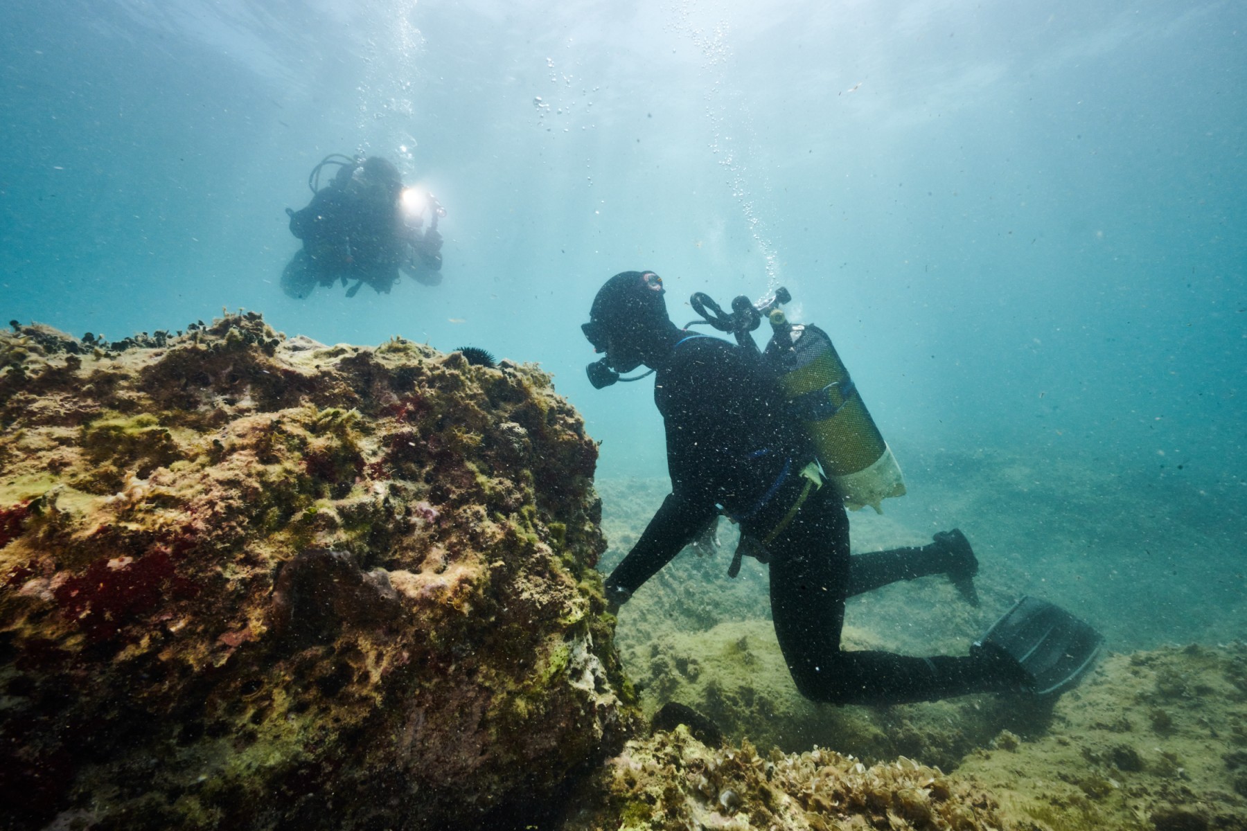 Italie: le braconnage des dattes de mer, grave menace pour la côte