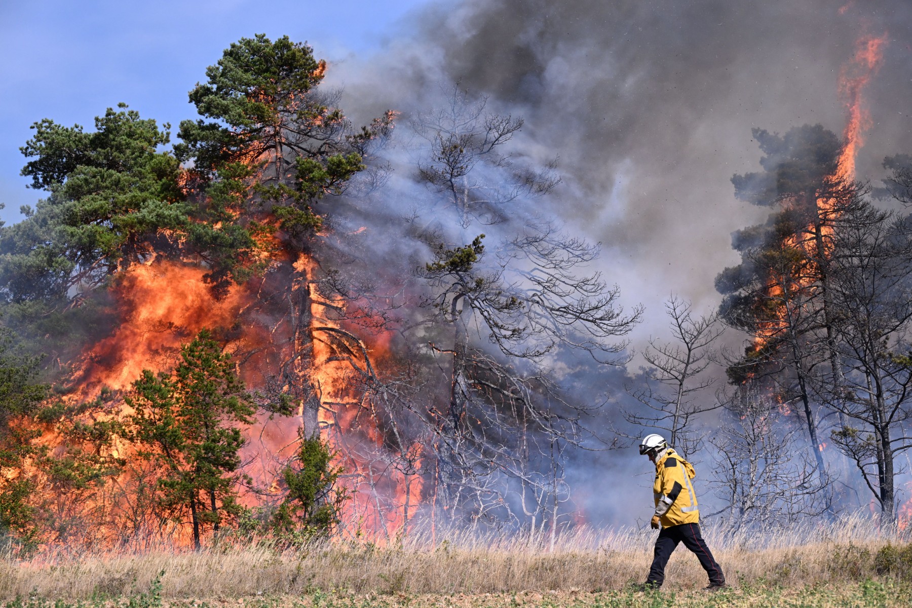 France: plus de 3 000 personnes évacuées dans le sud en raison d'un incendie