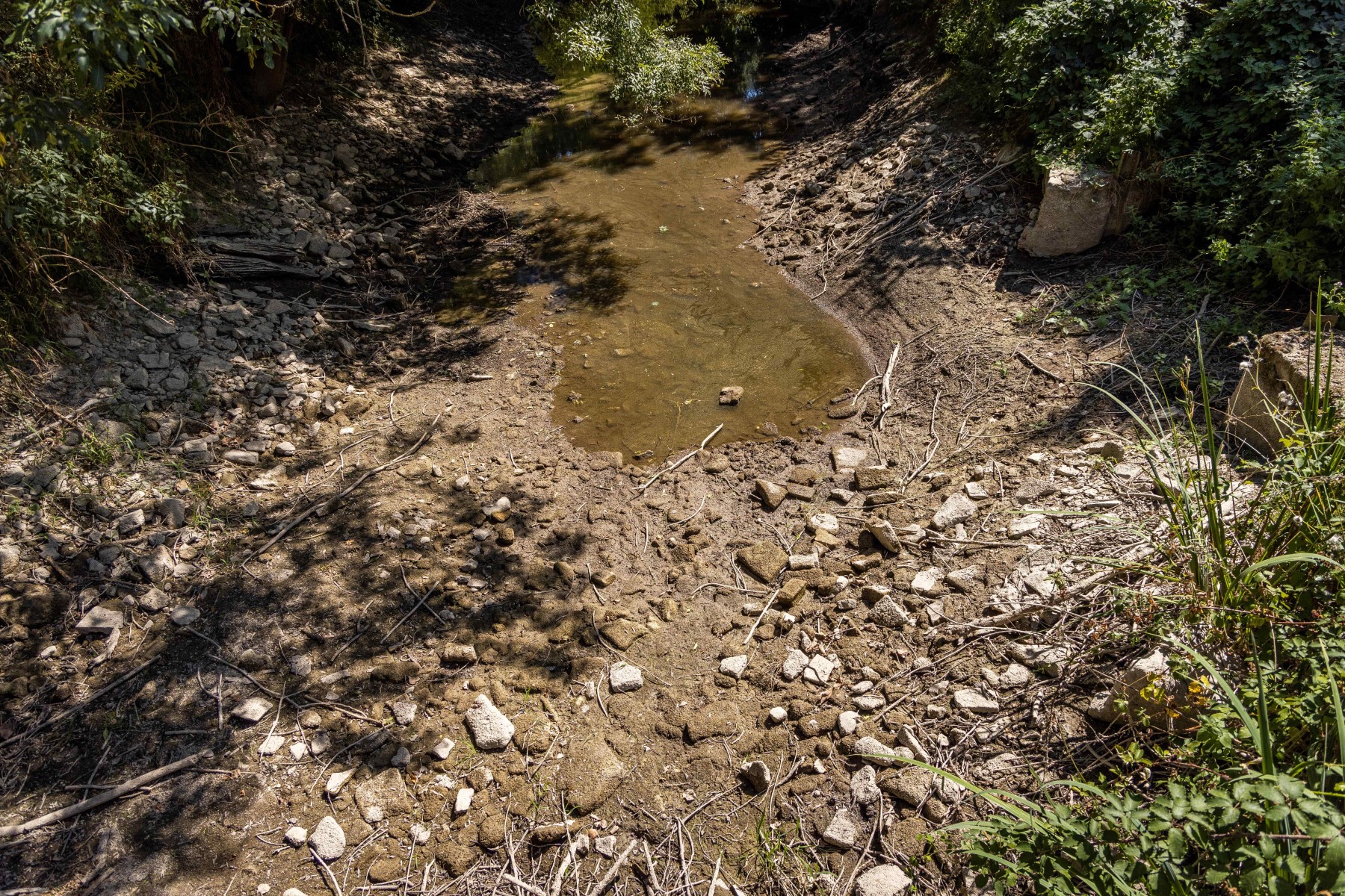 Sécheresse: deux golfs toulousains endommagés par des militants écologistes