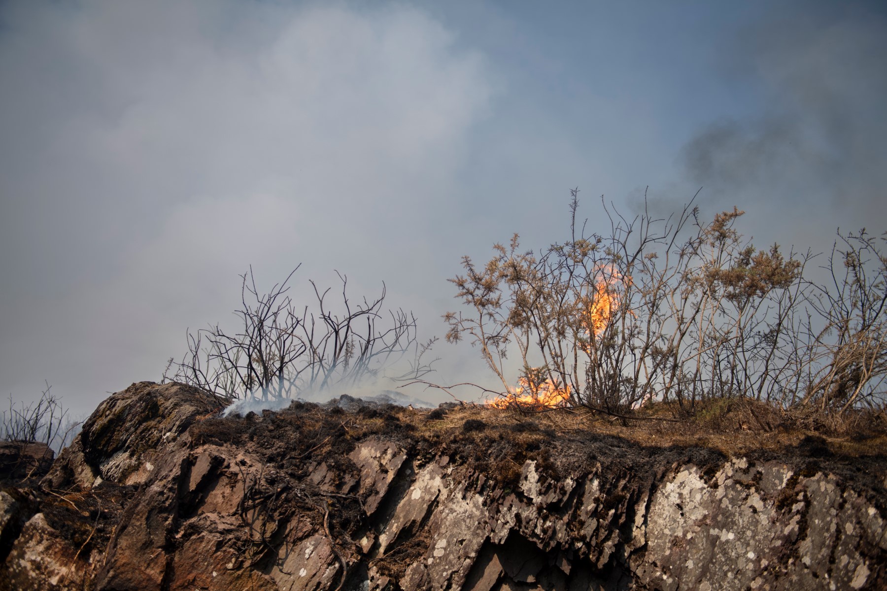 L'incendie dans les Alpilles «évolue peu», 136 ha parcourus par le feu