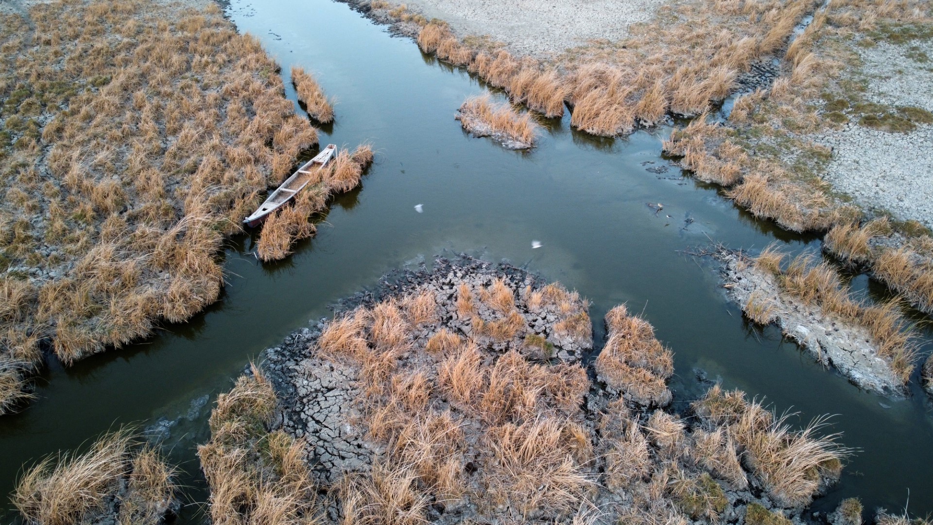 En Irak, la sécheresse ravage aussi les marais mésopotamiens du mythique jardin d'Eden
