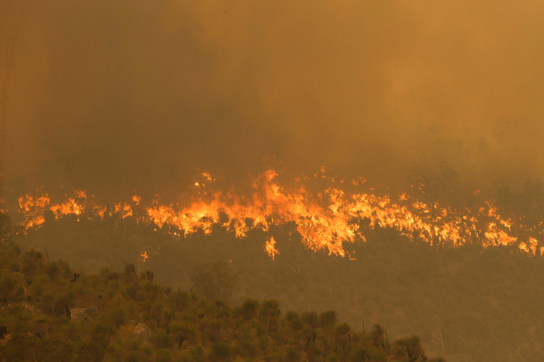 La couche d'ozone dégradée par les feux de brousse en Australie de 2019 et 2020