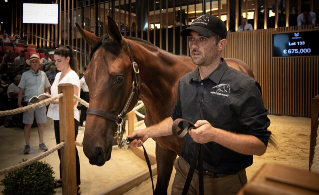 Ventes de yearlings records à Deauville à plus de 51 millions d'euros