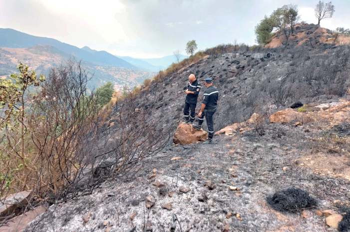 Incendies à l’est du pays: La Gendarmerie multiplie les enquêtes