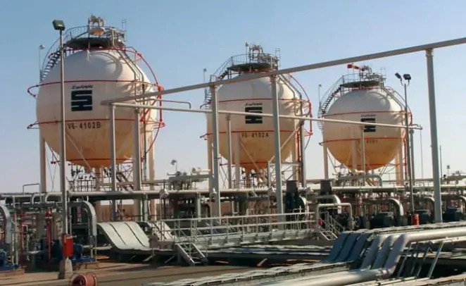 Sonatrach initie des projets pour diversifier les investissements dans l’industrie pétrochimique