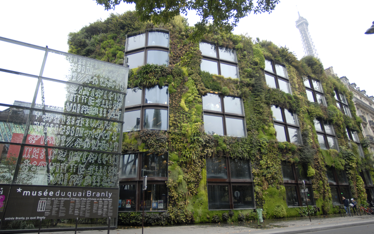 Jardin d'été 2022 au musée du Quai Branly