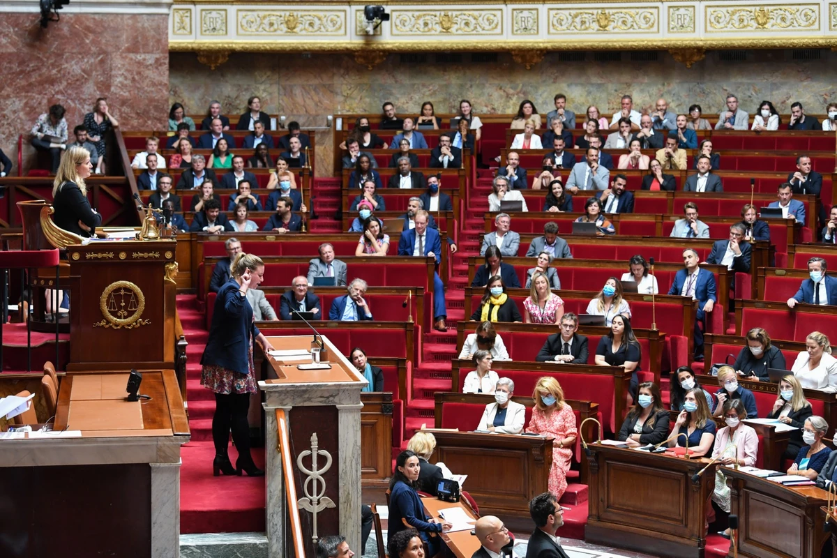 Le Conseil constitutionnel rappelle l'Etat à ses devoirs en matière d'environnement