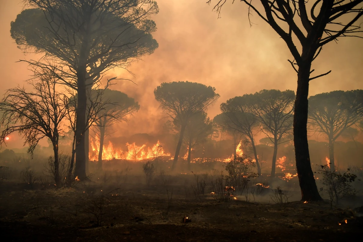 Isère: 90 hectares brûlés, feu «toujours pas fixé»