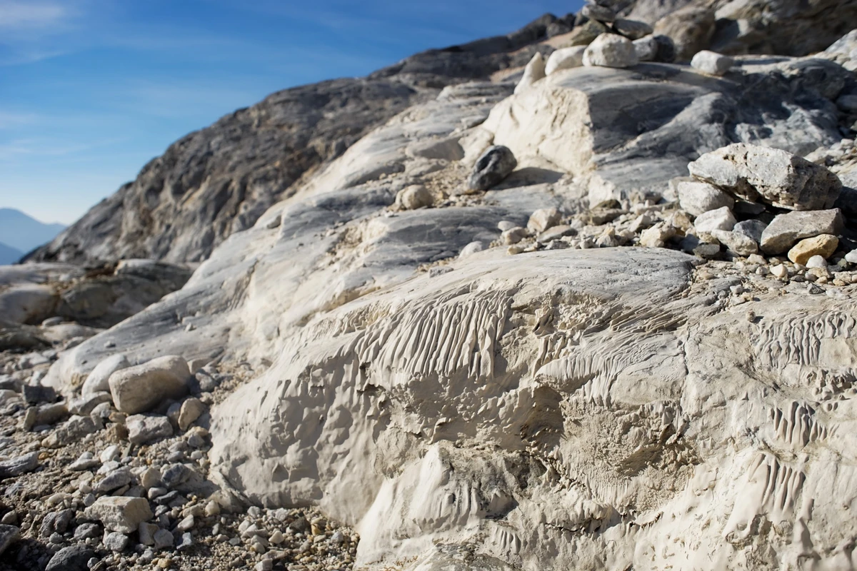 Glaciers menacés, faune et flore en danger: les Pyrénées en plein bouleversement