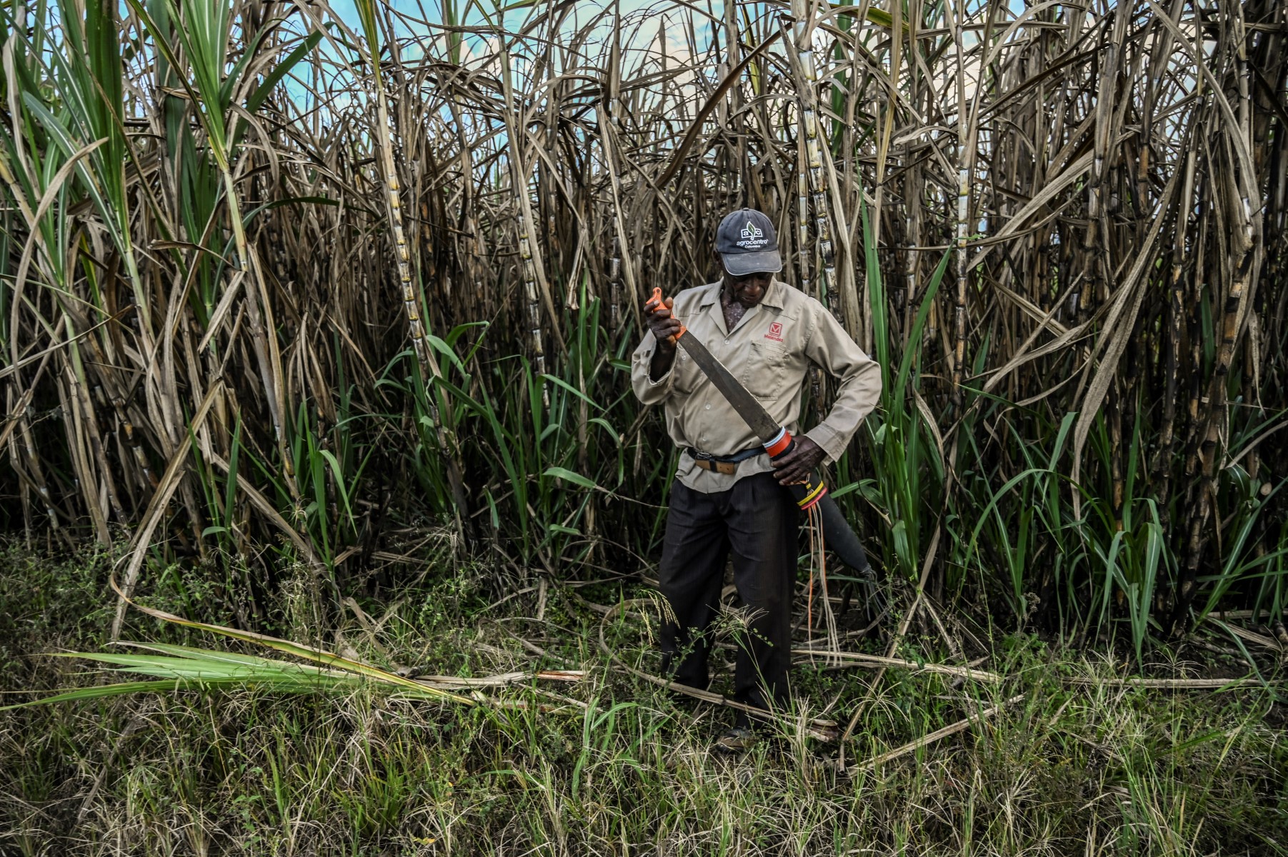 En Colombie, bataille pour la terre entre indigènes et afro-descendants