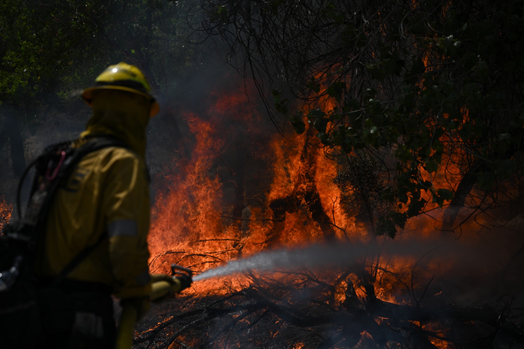 L'Ouest américain continue de suffoquer, la Californie menacée par des coupures de courant