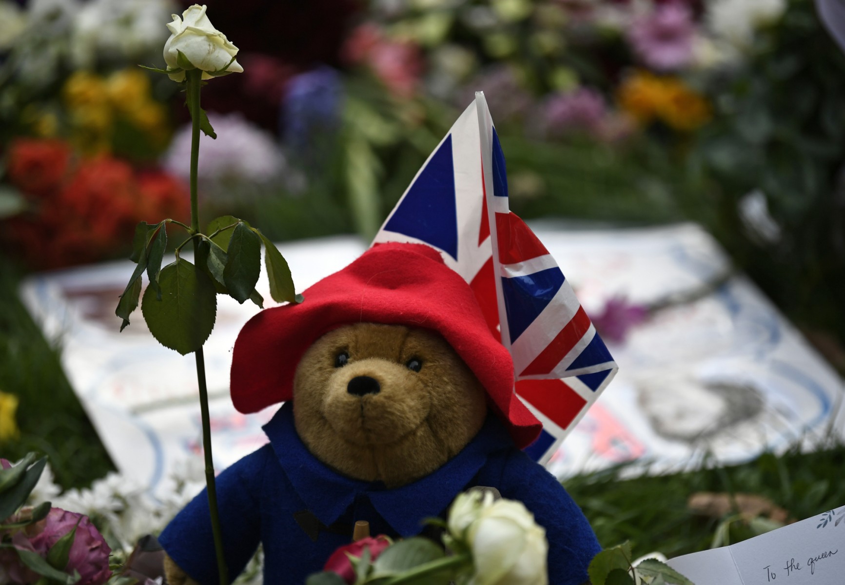 En peluche ou en dessin, Paddington au rendez-vous à Buckingham pour un dernier hommage