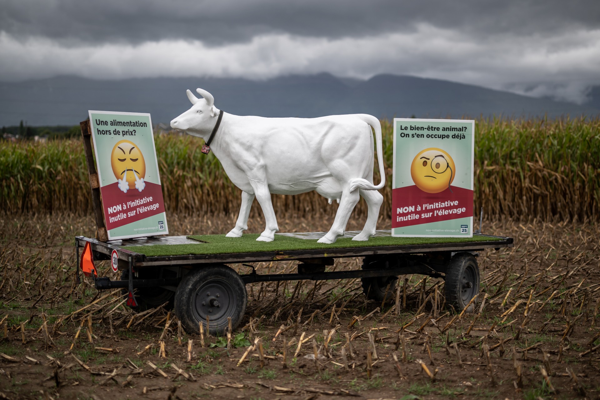 Cette photo prise le 15 septembre 2022 près de Collex-Bossy montre une statue de vache en plastique sur une remorque dans un champ entre deux pancartes sur lesquelles on peut lire en français «Nourriture chère ? Non à l'initiative inutile sur les animaux de rente» (L) et «Le bien-être des animaux ?(Photo de Fabrice COFFRINI / AFP)