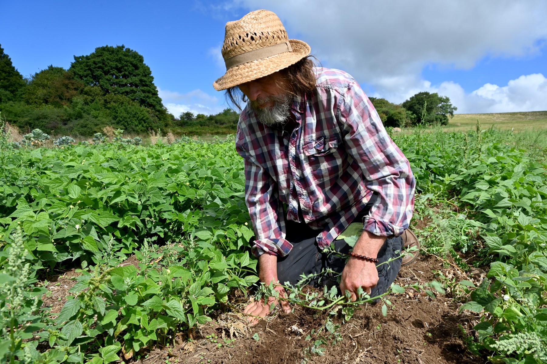 Des agriculteurs du sud de la France sur de nouvelles pistes pour contrer la sécheresse