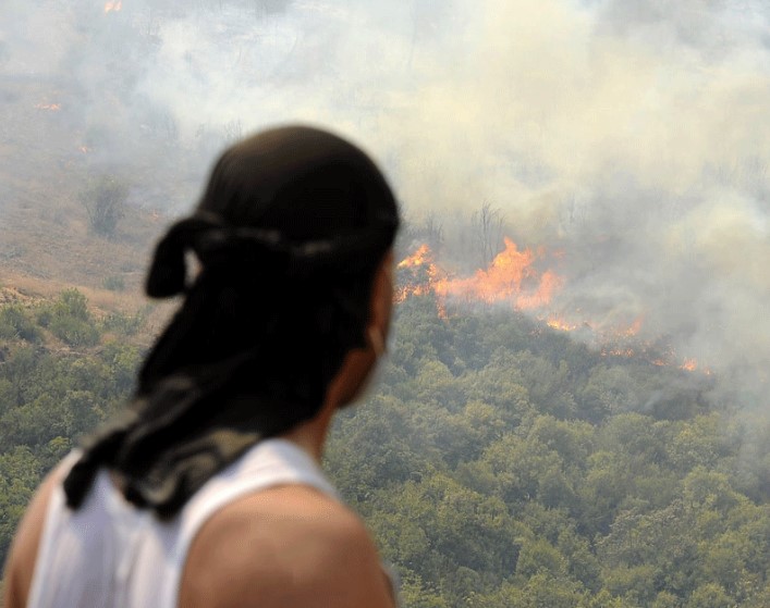 Feux de forêt ravageurs à El Tarf, Souk Ahras et Sétif
