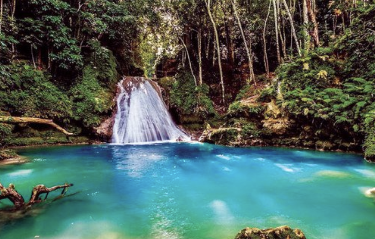 La Jamaïque s'attend à ce que l'afflux de touristes saoudiens augmente à la suite du nouvel accord