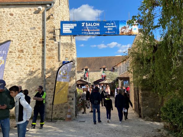 Le Salon international du dromadaire et des camélidés: un appel à la découverte