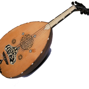 L'incroyable voyage du troubadour