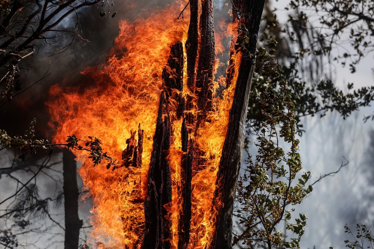 Chasse aux pyromanes en Dordogne face à des incendies multiples