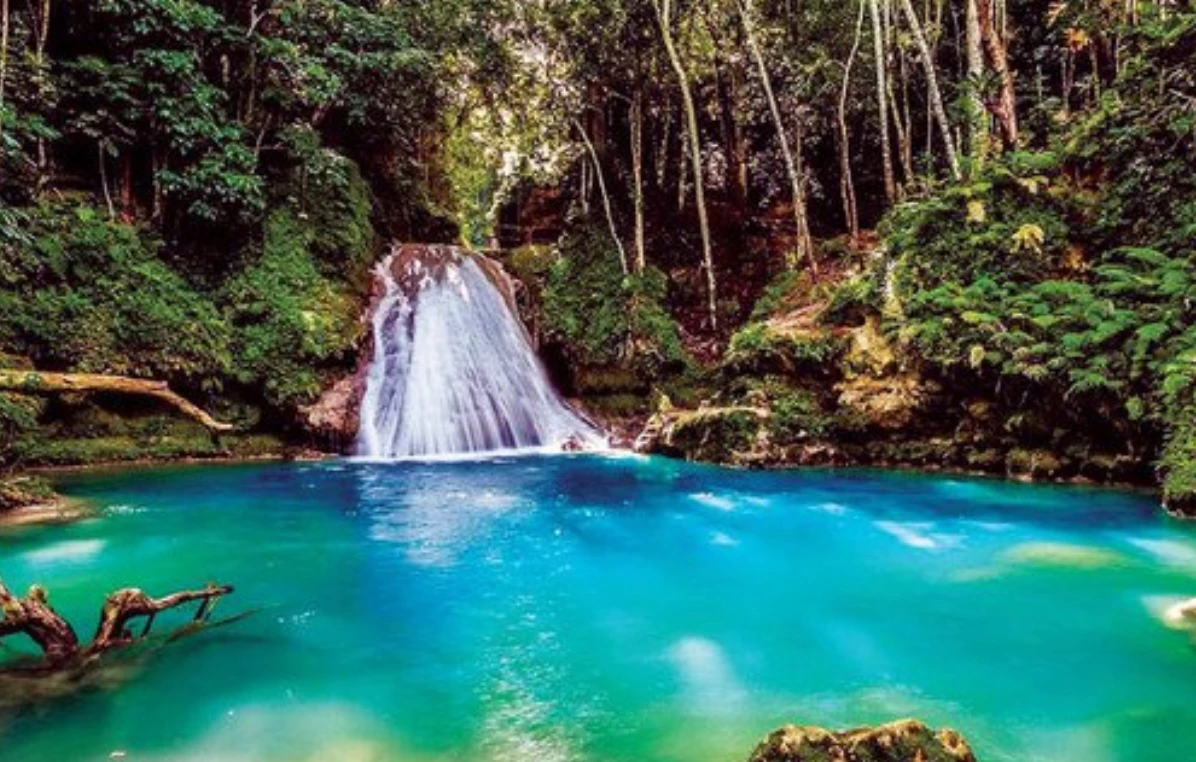 La Jamaïque s'attend à ce que l'afflux de touristes saoudiens augmente à la suite du nouvel accord