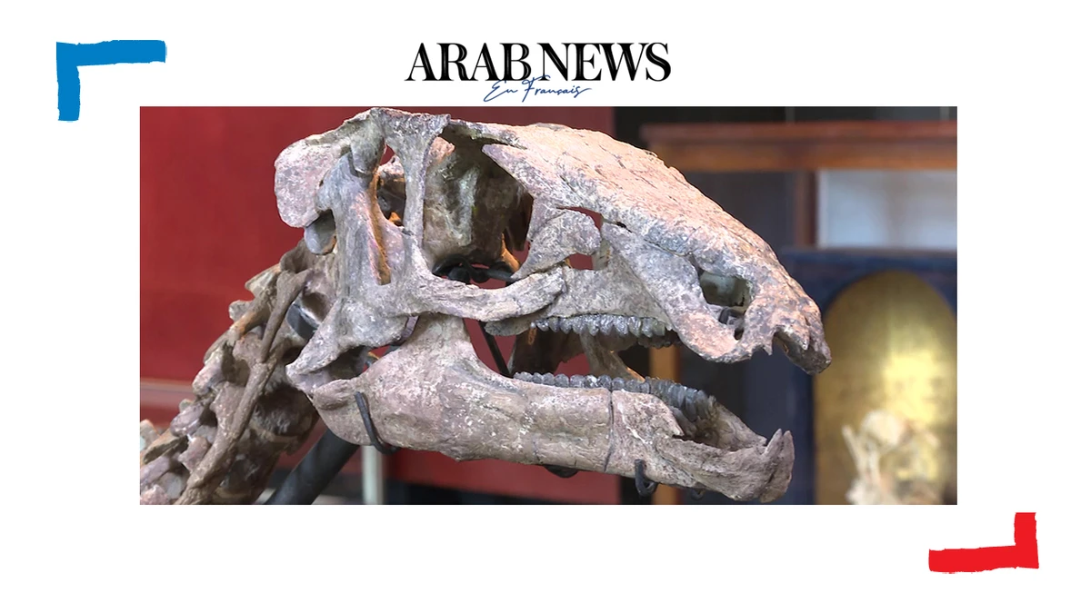 Paris: le squelette du dinosaure Zéphyr bientôt mis aux enchères