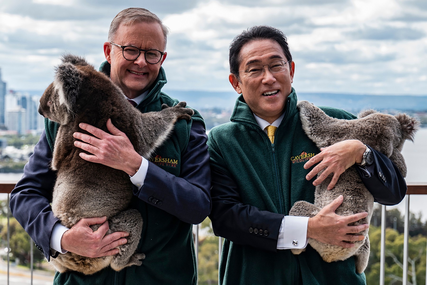 Le Premier ministre australien Anthony Albanese et le Premier ministre japonais Kishida Fumio posent avec des koalas lors de leur visite à Kings Park à Perth, le 22 octobre 2022. (Photo par Tony McDonough / Pool / AFP)
