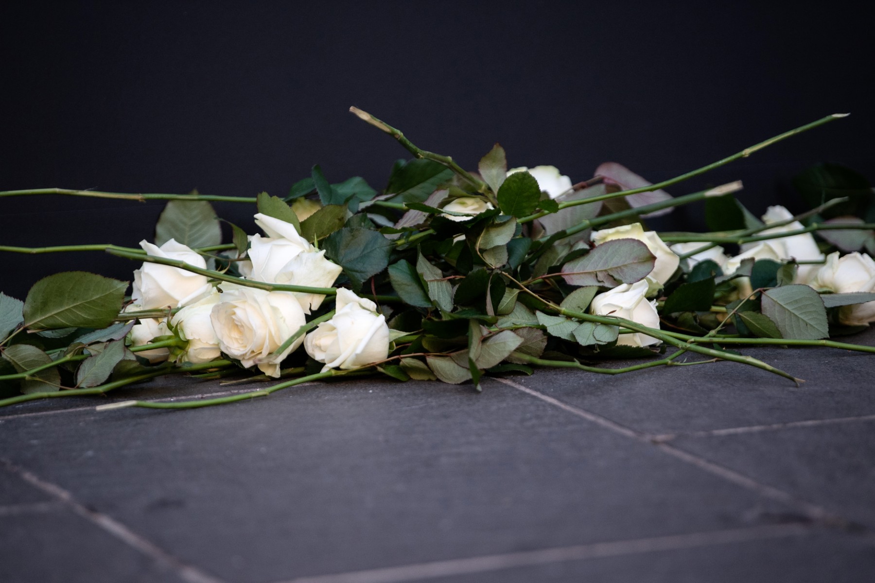 Au procès de l'attentat de Nice, l'état psychiatrique de l'auteur au coeur des débats