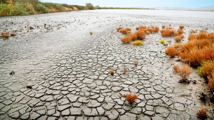 Préservation des zones humides: Un enjeu stratégique pour faire face au changement climatique