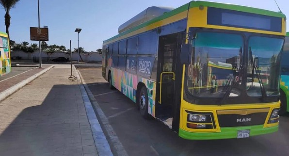 Des bus «écologiques» pour le transport des délégués lors du sommet sur le climat en Égypte