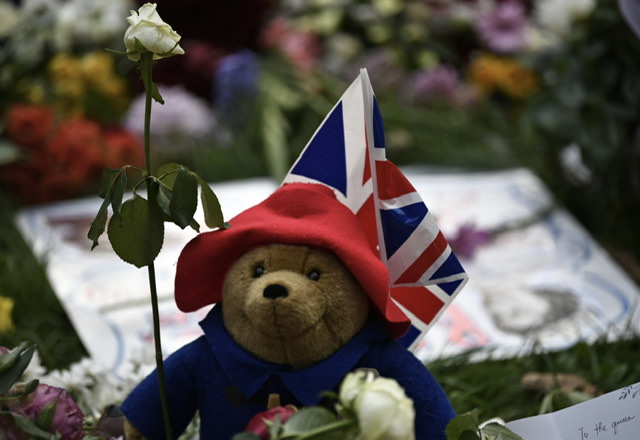 Les ours Paddington déposés en hommage à Elizabeth II donnés à une association caritative