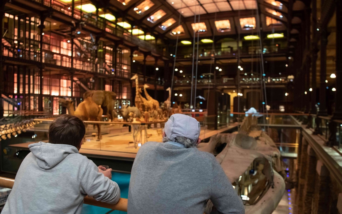 Pariscience, le festival international du film scientifique