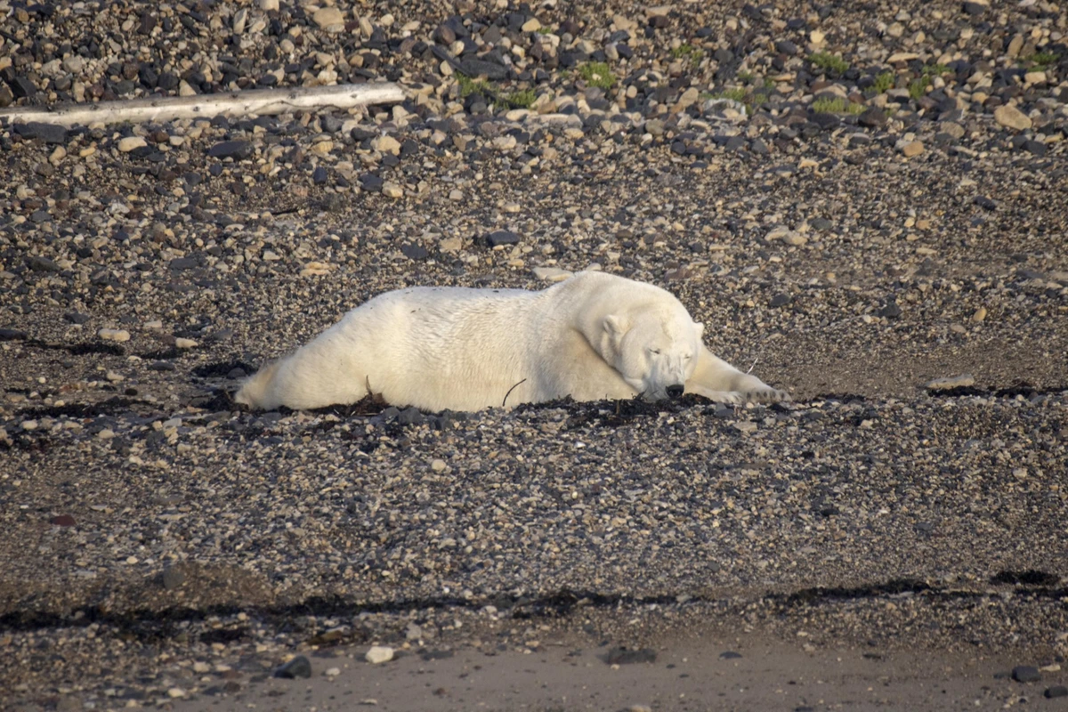 Il est temps d'agir pour le climat, maintenant