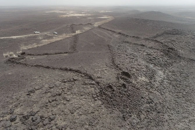 De nouvelles études révèlent l’horrible vérité sur les «cerfs-volants du désert» d’AlUla