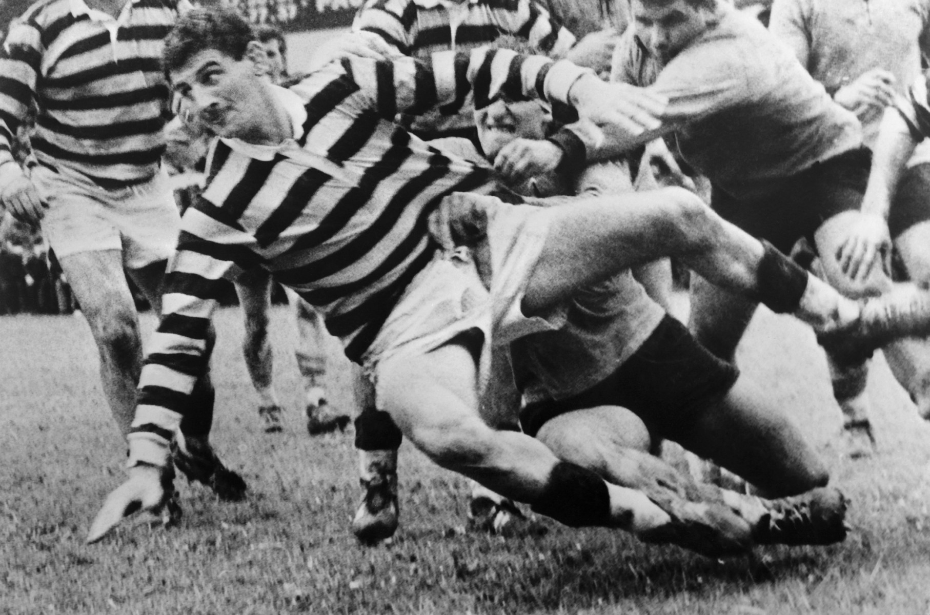Benoît Dauga, le Grand Ferré concassé par le rugby