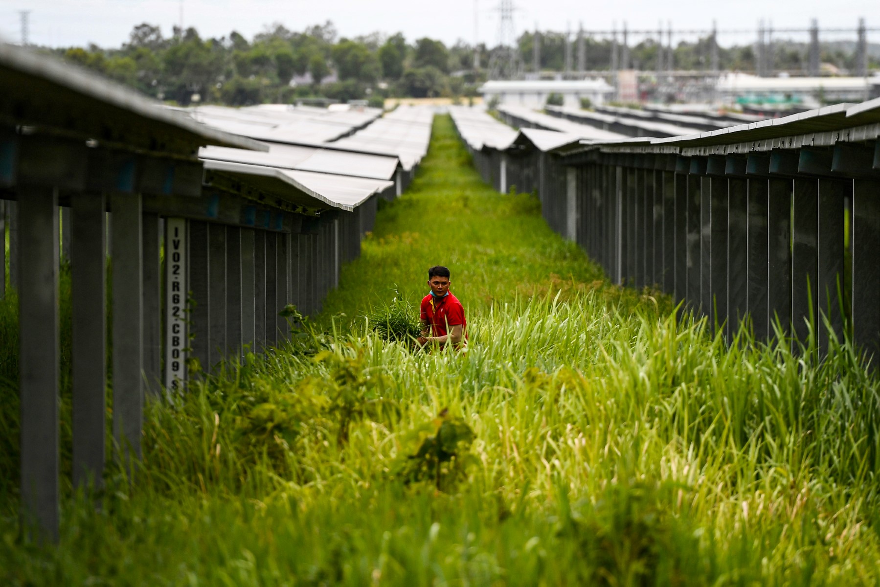 Vietnam: des promesses pour l'environnement, mais une addiction tenace au charbon