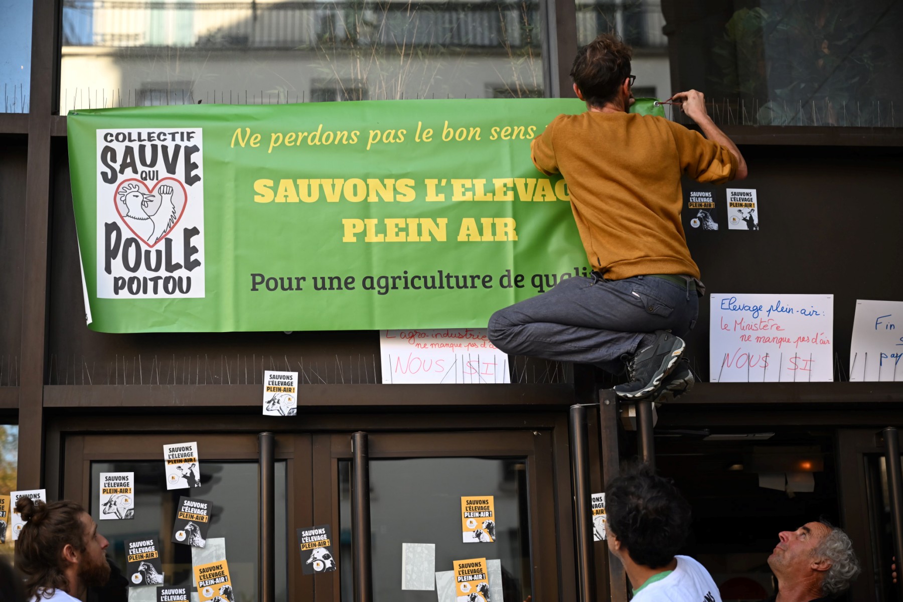 Grippe aviaire: nouvel ordre de confinement général des volailles françaises