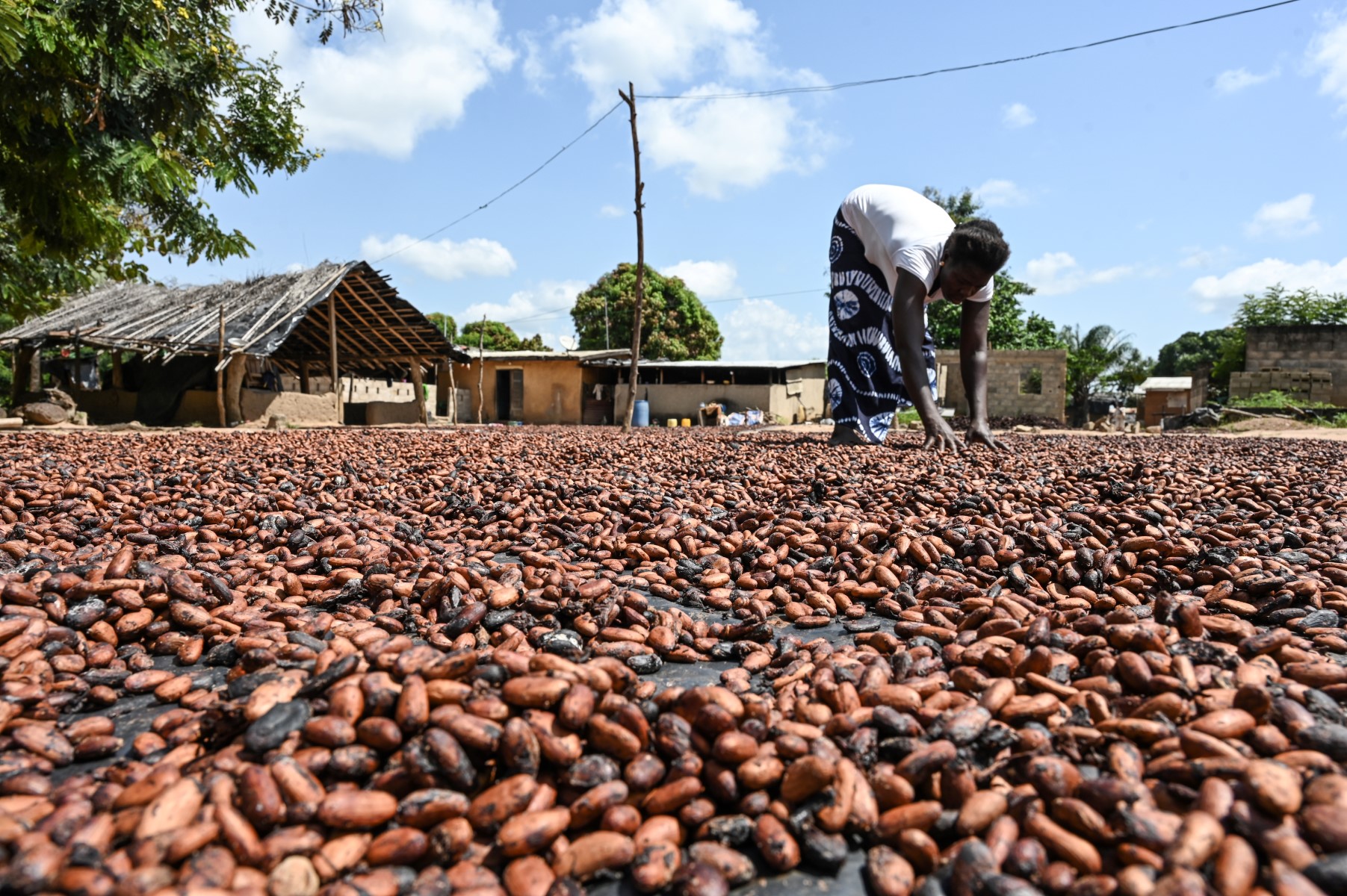 Face aux industriels du cacao, la Côte d'Ivoire et le Ghana se rebiffent