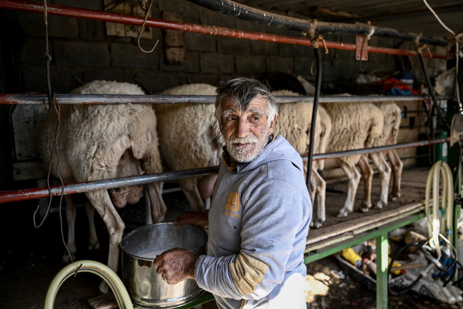 Inflation, prix de l'énergie, ces menaces qui pèsent sur les fromages grecs