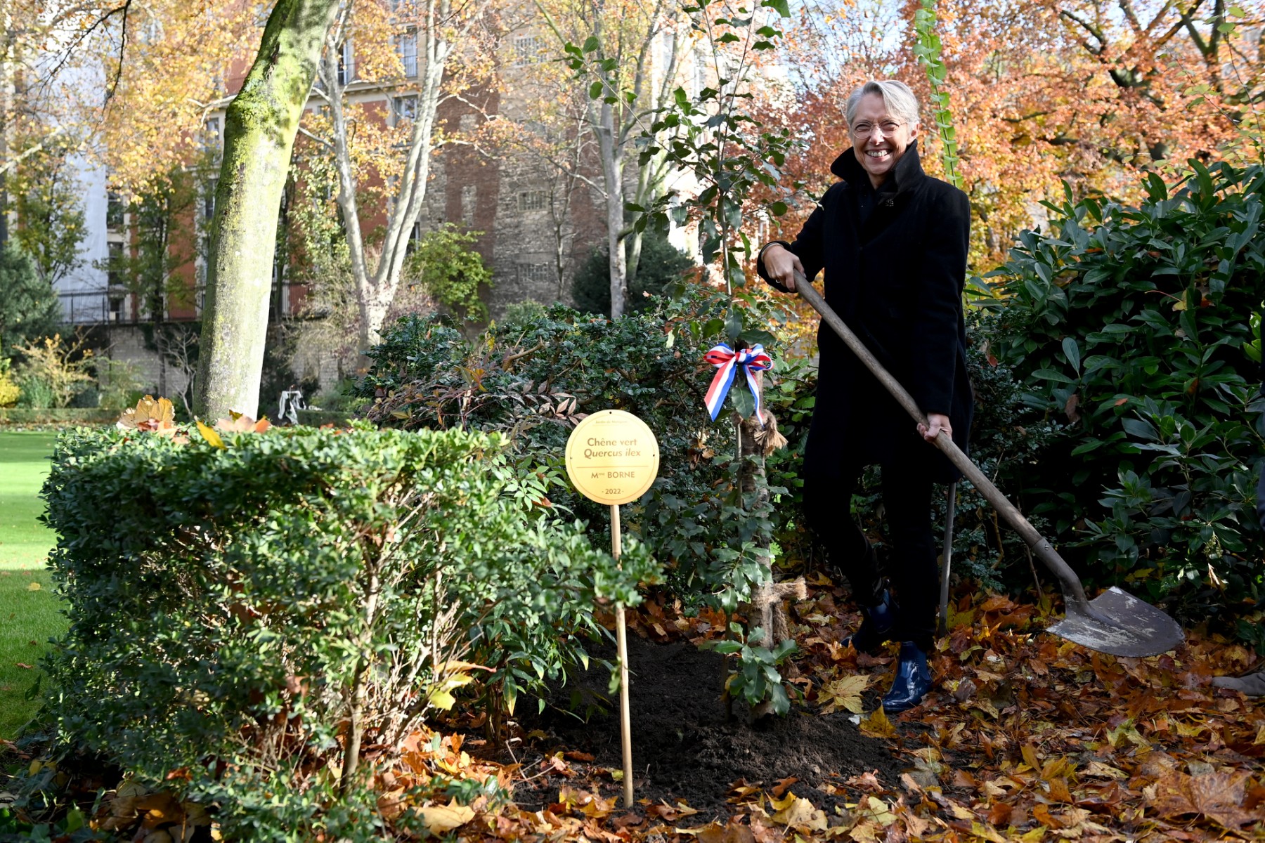 Borne plante à Matignon un chêne vert au feuillage «persistant»