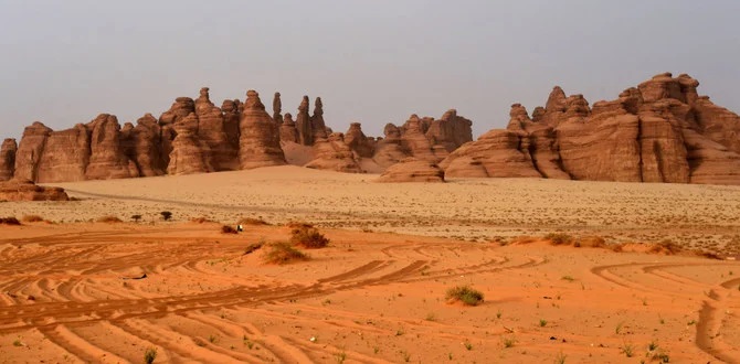 L’Arabie saoudite renforce son expertise en vue de préserver sa beauté naturelle