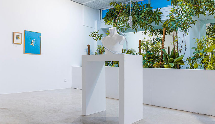 L’exposition «Bloom» de Becem Ben Othman à la galerie «Musk and Amber» : Éclosion artistique