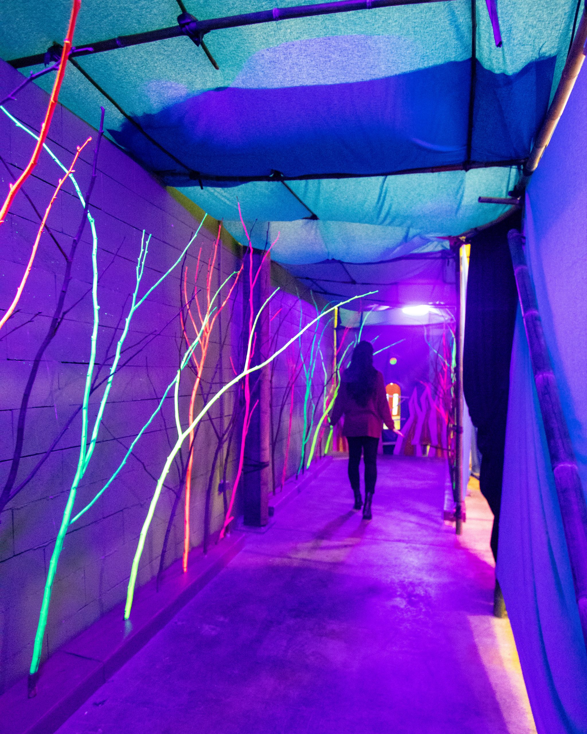 La Cité des Merveilles 2022 : Une incroyable expérience immersive