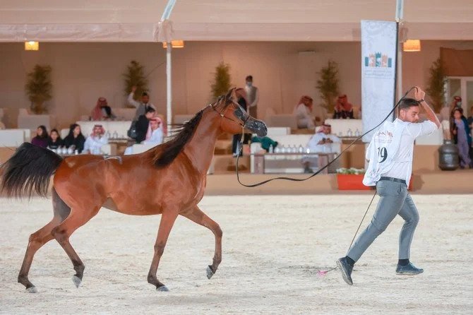 Le Festival du cheval arabe de Riyad démarre avec des éleveurs de premier plan