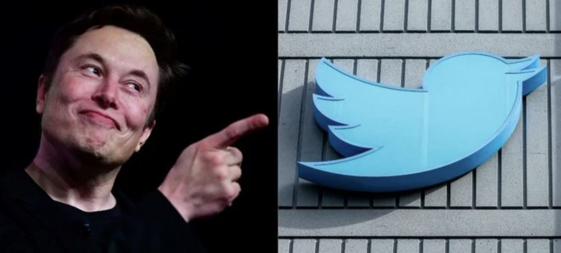 Twitter relancera un nouveau système d'authentification payant lundi