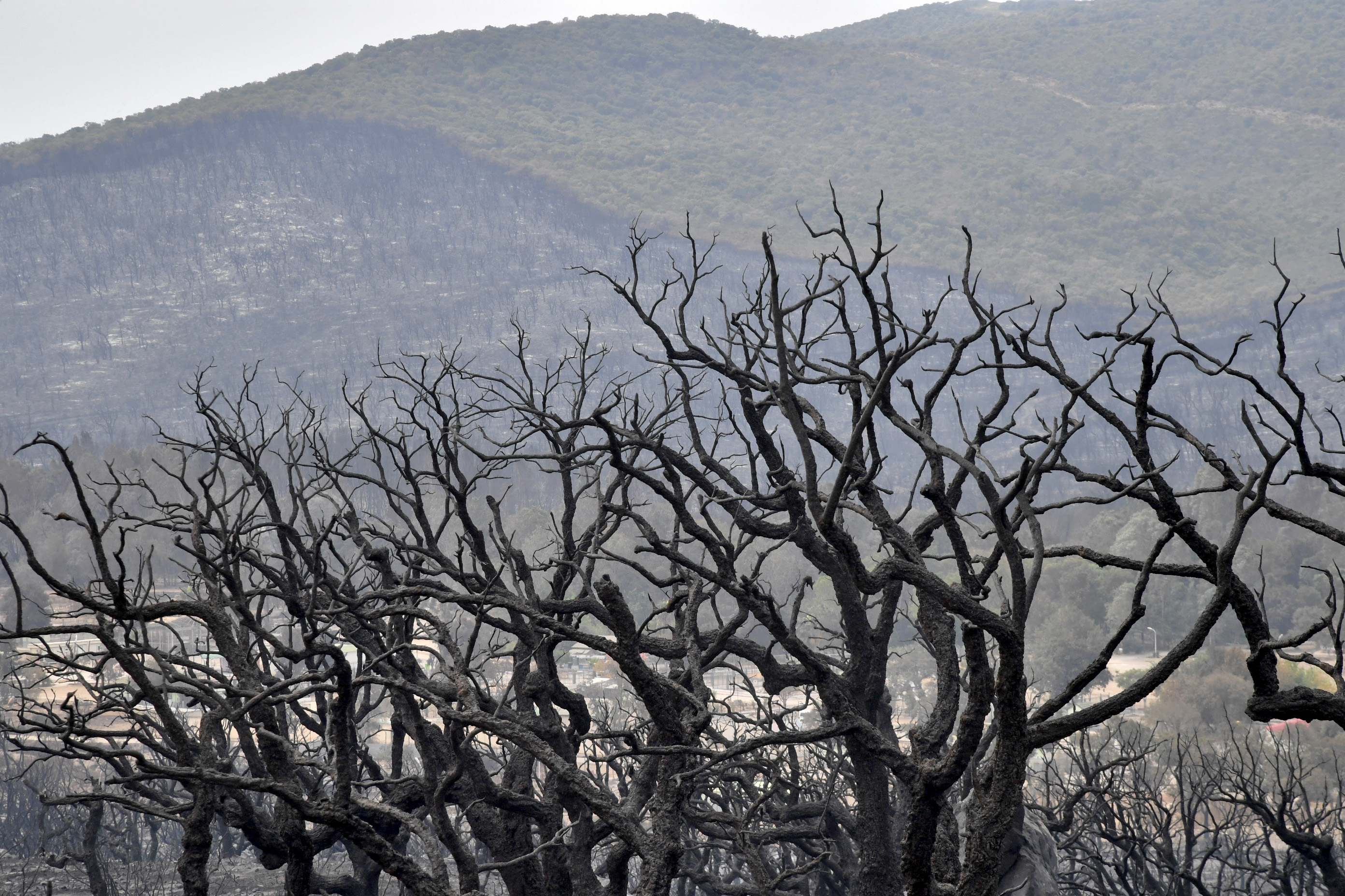 En Algérie, l’année 2022 a souligné l’urgence climatique